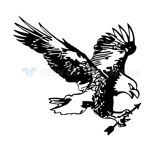 Eagles Iron-on Stickers (Heat Transfers)NO.2214